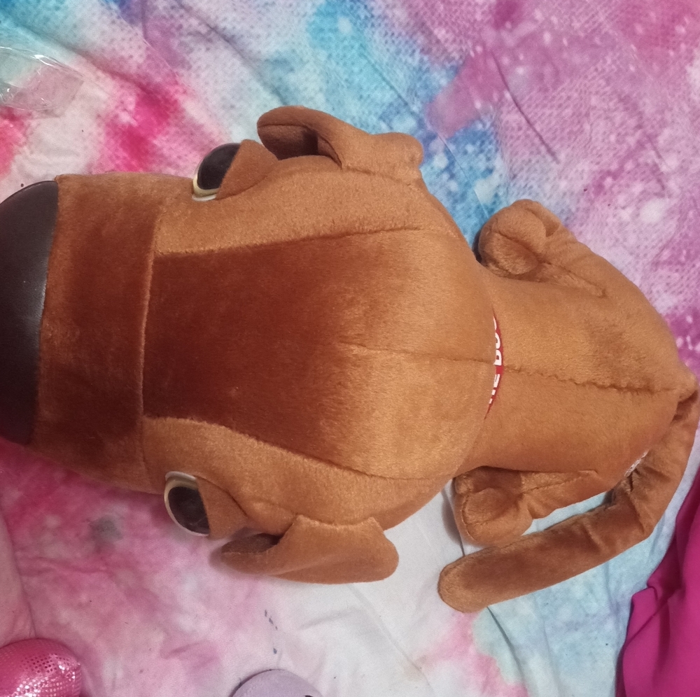 Dog 🐶 - Picture 2 of 2
